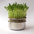 Microbed™ + seed kit